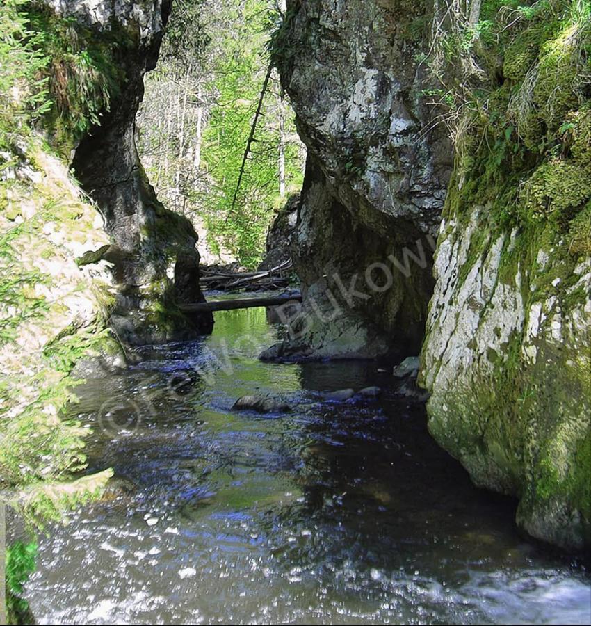 Fewo Bukowina Вальдсхут-Тинген Экстерьер фото